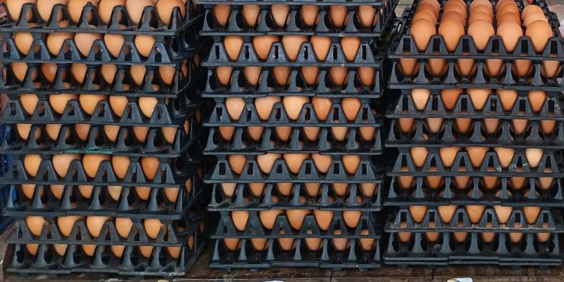 แผงไข่ไก่วางซ้อนกันหน้าร้าน